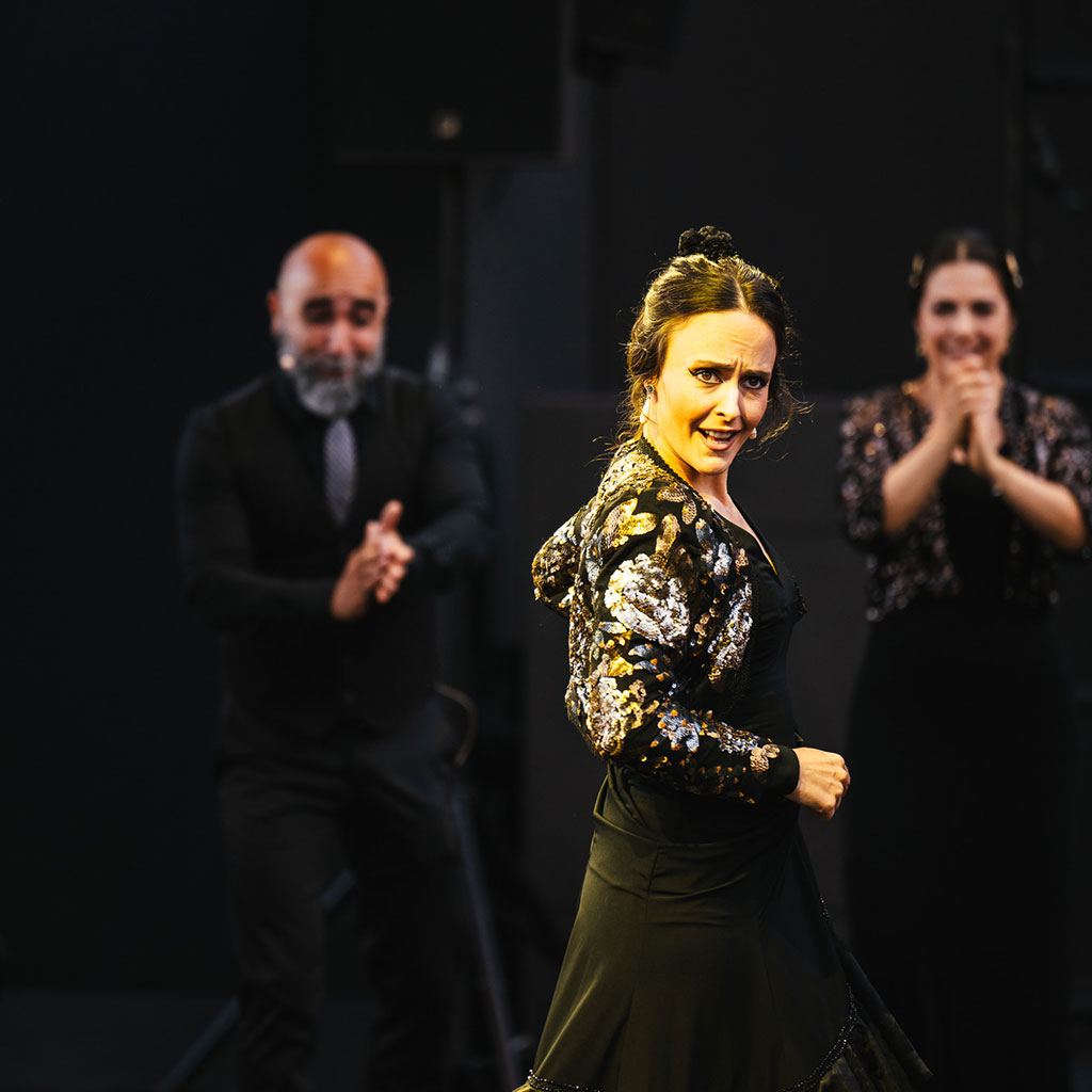 Flamenco & Sévillanes