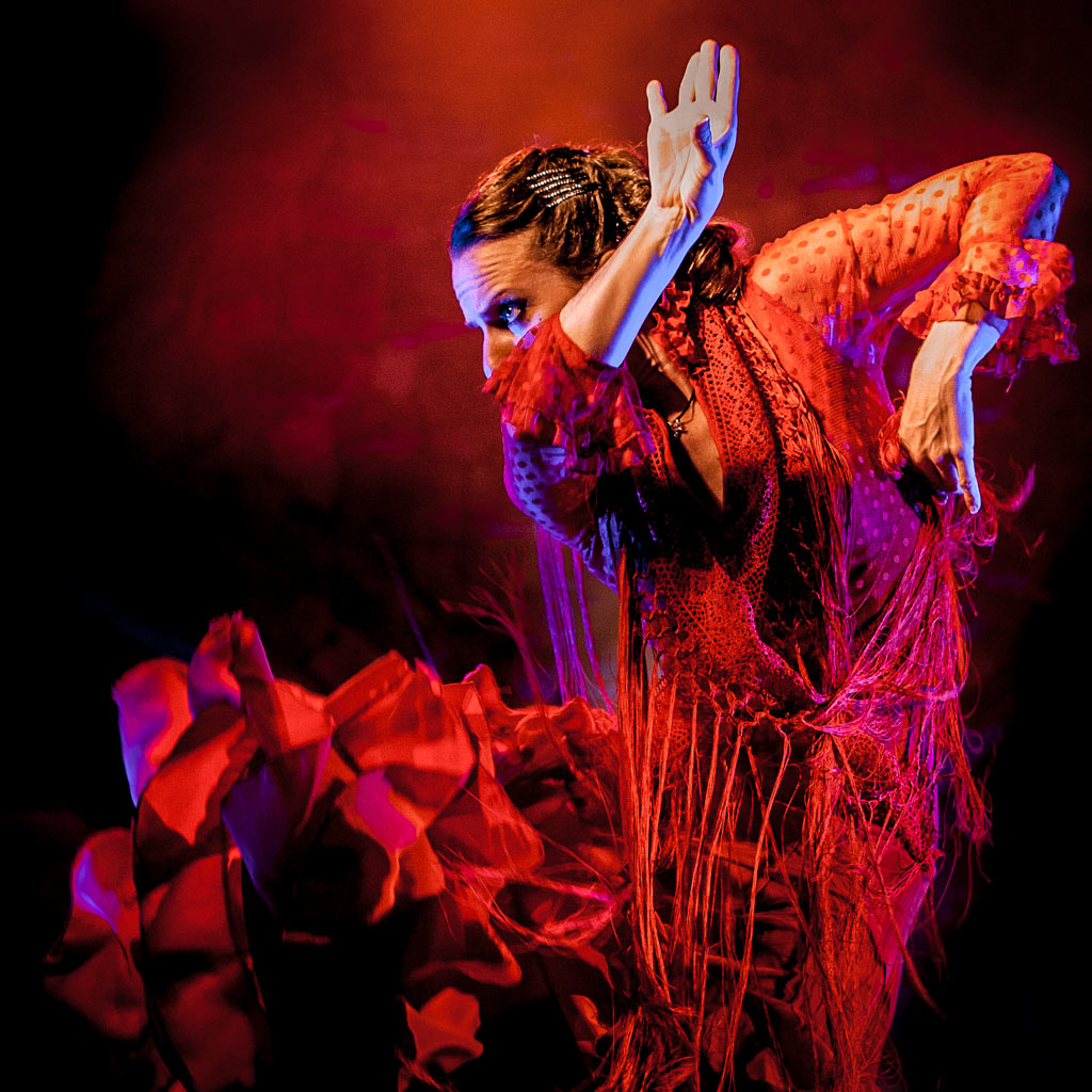 Flamenco y Sevillana