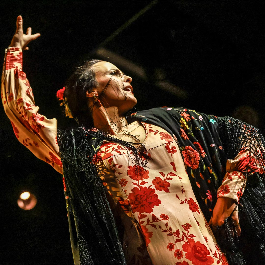 Flamenco & Sévillanes