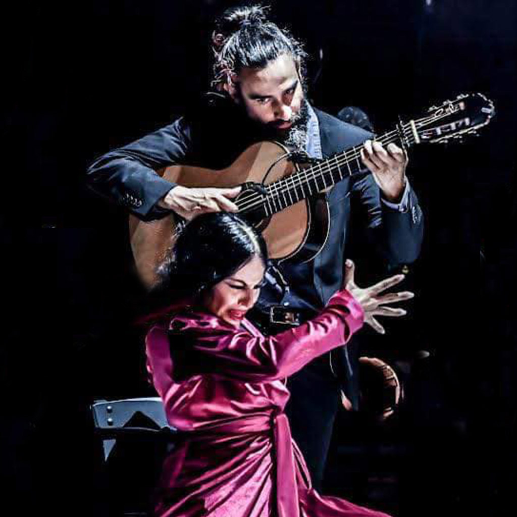 Guitare flamenca